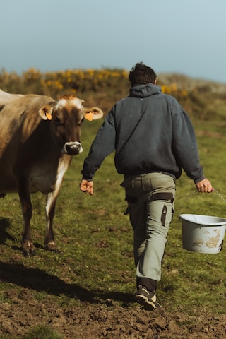 Les Vaches aux 4 Vents